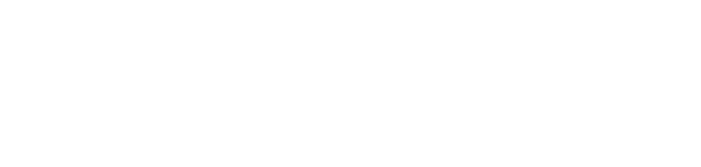 Vinnie Vega Logo